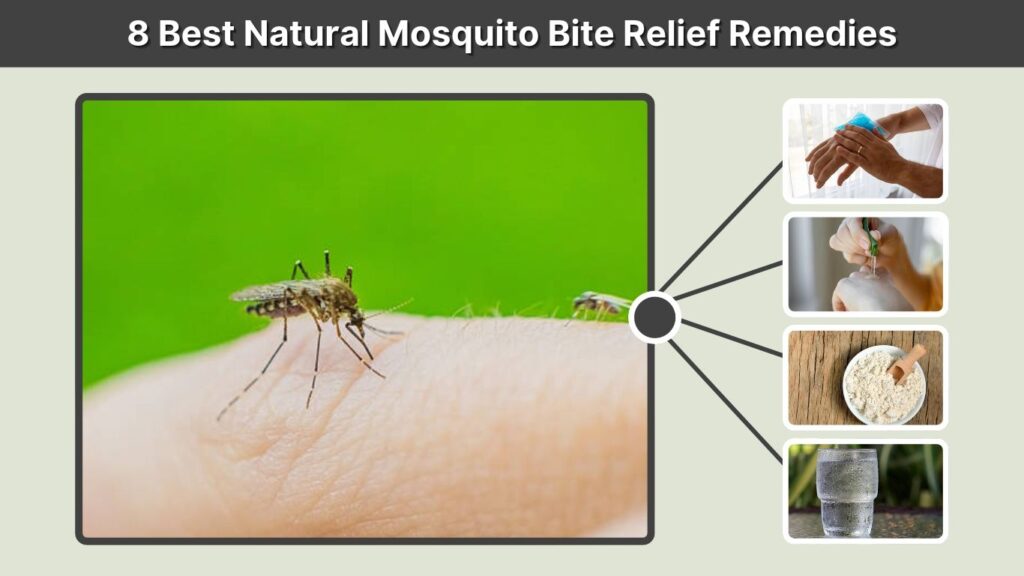 8 Best Natural Mosquito Bite Relief Remedies