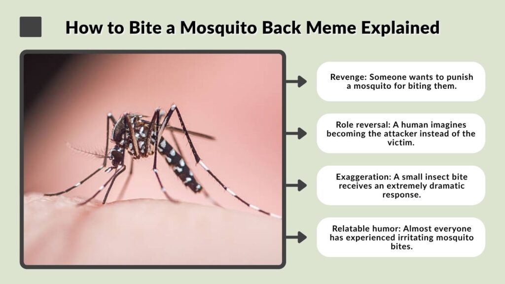 How to Bite a Mosquito Back Meme Explained