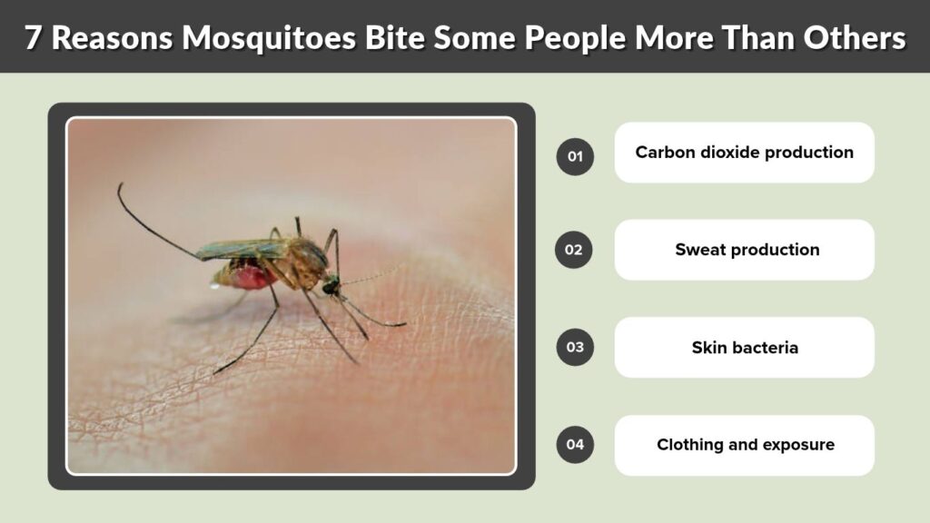 7 Reasons Mosquitoes Bite Some People More Than Others