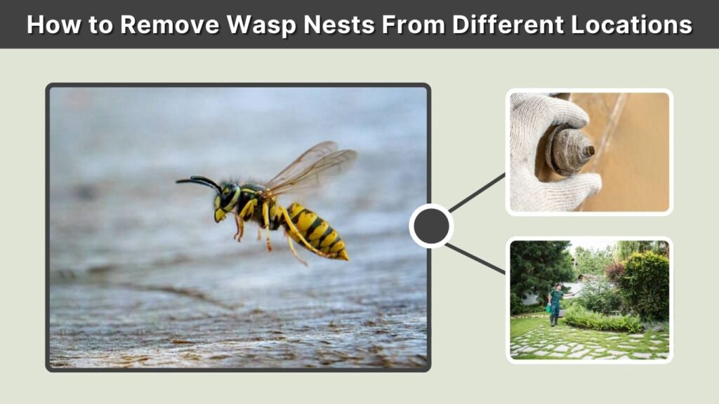 How to Remove Wasp Nests From Different Locations