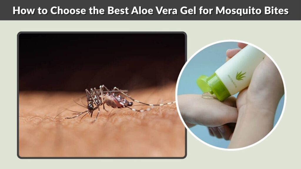 How to Choose the Best Aloe Vera Gel for Mosquito Bites
