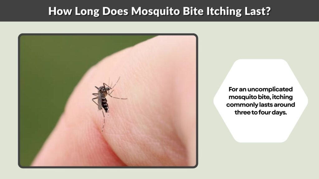 How Long Does Mosquito Bite Itching Last?