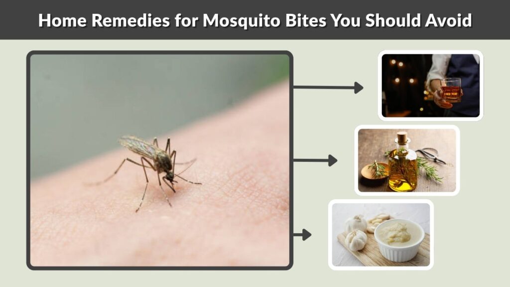 Home Remedies for Mosquito Bites You Should Avoid