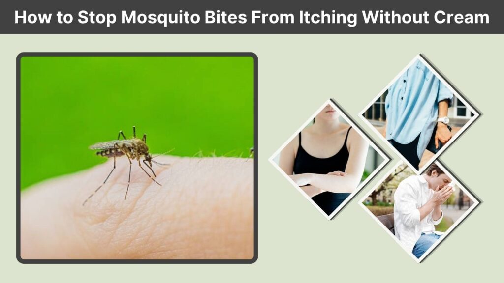 How to Stop Mosquito Bites From Itching Without Cream