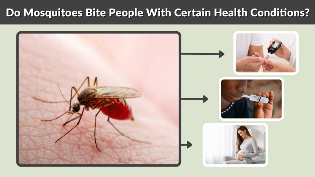 Do Mosquitoes Bite People With Certain Health Conditions?