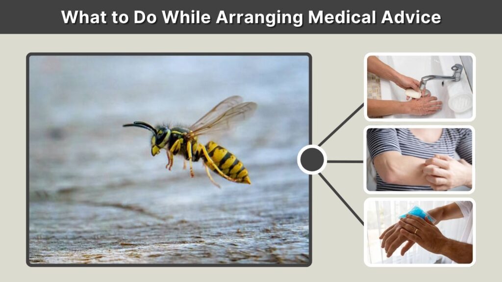What to Do While Arranging Medical Advice
