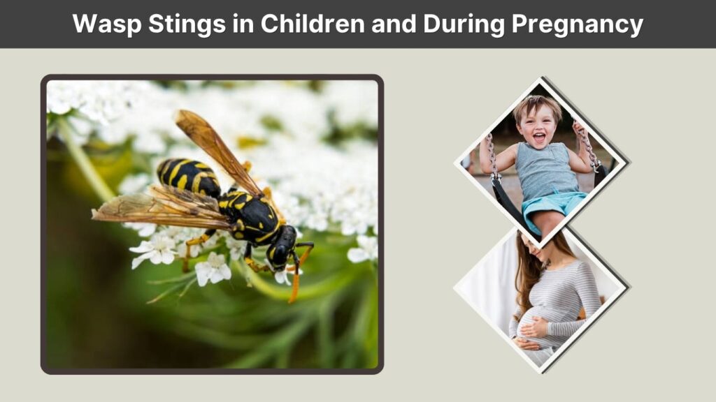 Wasp Stings in Children and During Pregnancy