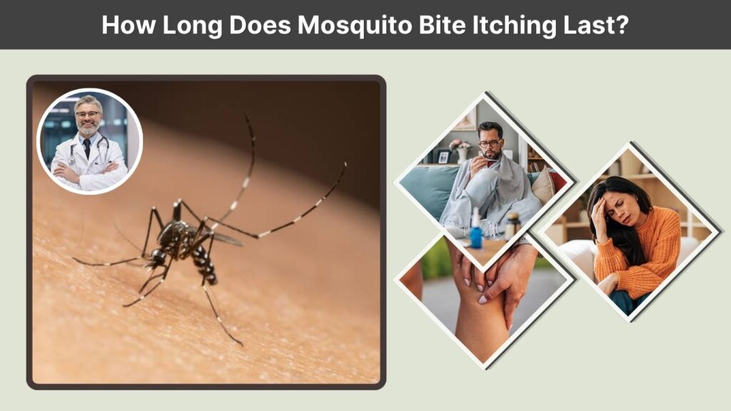 How Long Does Mosquito Bite Itching Last?