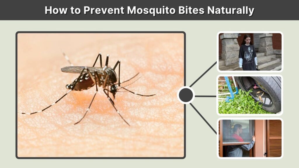 How to Prevent Mosquito Bites Naturally