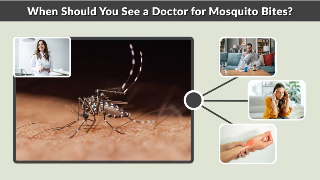 When Should You See a Doctor for Mosquito Bites?