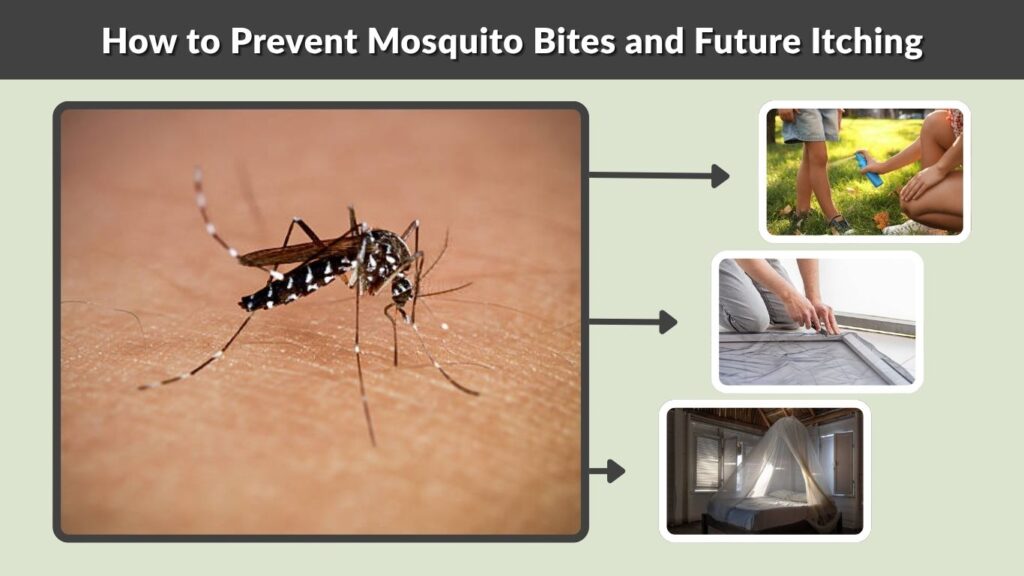 How to Prevent Mosquito Bites and Future Itching