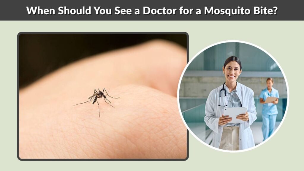 When Should You See a Doctor for a Mosquito Bite?
