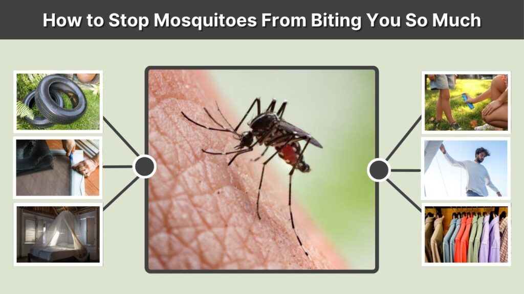 How to Stop Mosquitoes From Biting You So Much