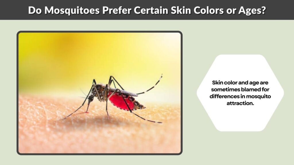 Do Mosquitoes Prefer Certain Skin Colors or Ages?
