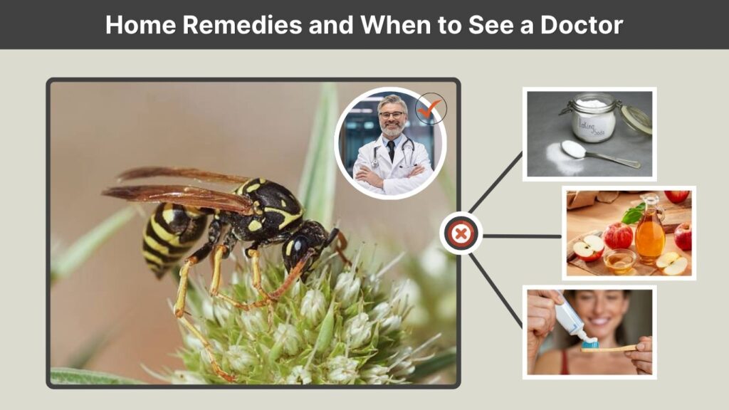 Home Remedies and When to See a Doctor