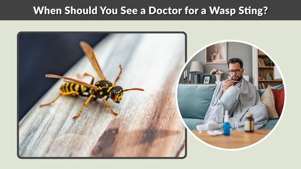When Should You See a Doctor for a Wasp Sting?