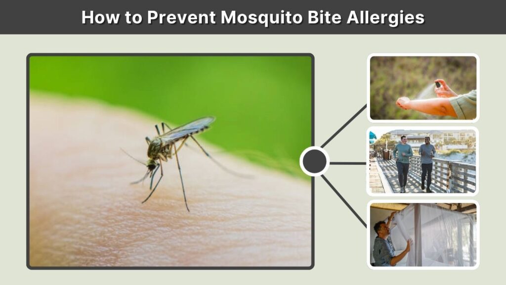 How to Prevent Mosquito Bite Allergies