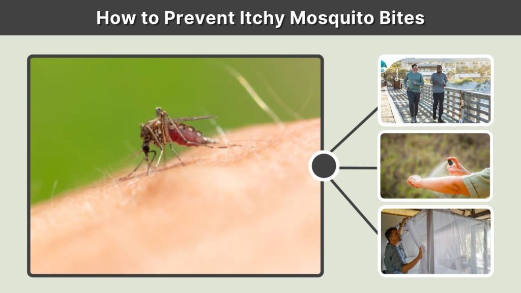 How to Prevent Itchy Mosquito Bites