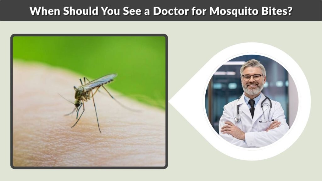 When Should You See a Doctor for Mosquito Bites?