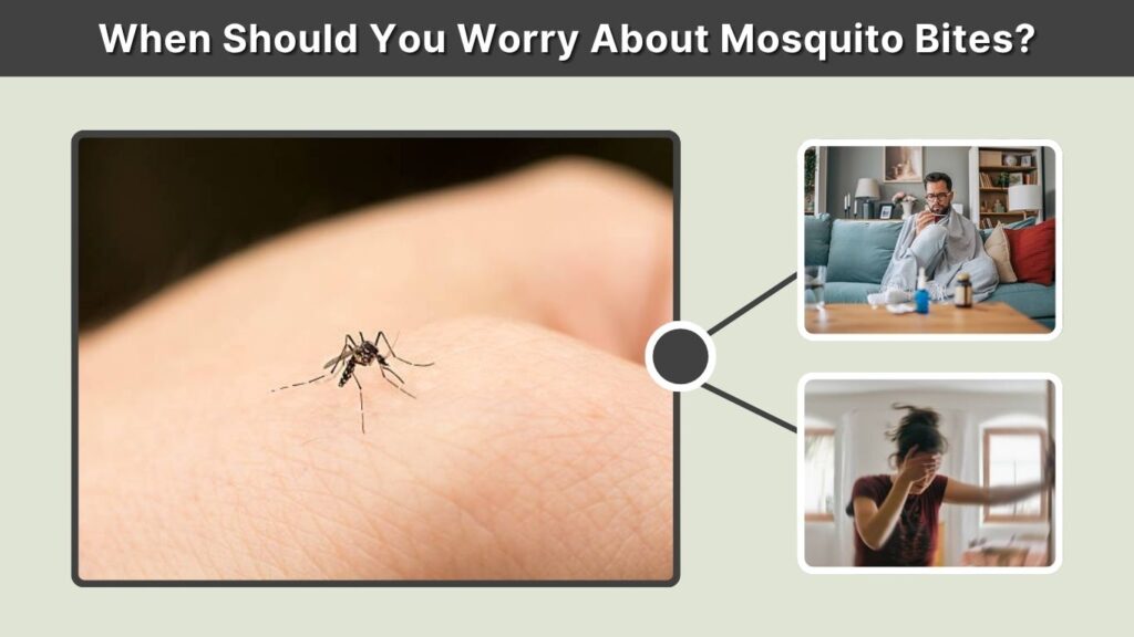 When Should You Worry About Mosquito Bites?