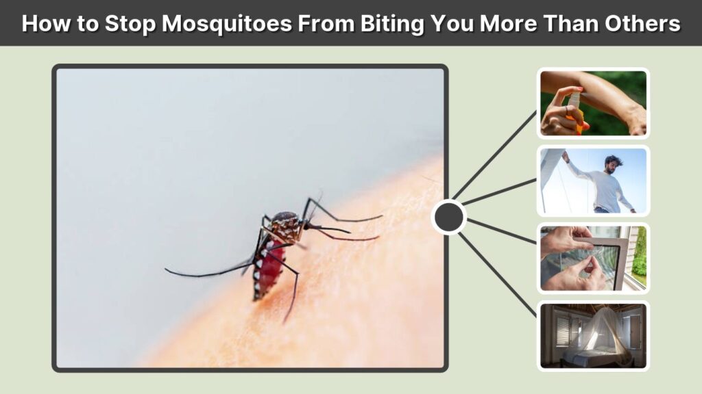 How to Stop Mosquitoes From Biting You More Than Others