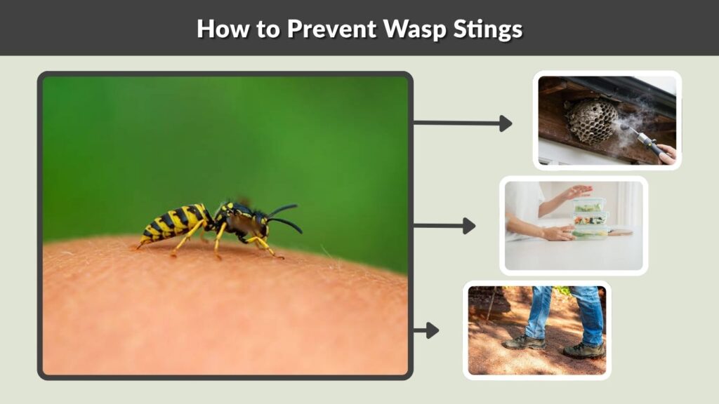 How to Prevent Wasp Stings